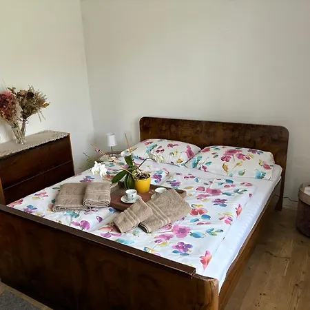 Tatil Evi U Mraze Chodska Lhota